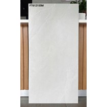 Gạch ốp lát Taicera 60x120 mờ FT612155M