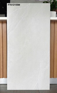 Gạch ốp lát Taicera 60x120 mờ FT612155M