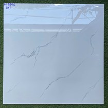 Gạch lát nền Hà Thanh 80x80 BL8801