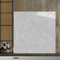 Gạch lát nền Catalan 120x120 15803