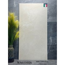 Gạch ốp lát Apodio 60x120 mờ MA611026