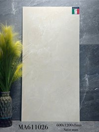 Gạch ốp lát Apodio 60x120 mờ MA611026