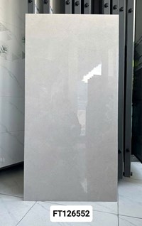 Gạch ốp lát Taicera 60x120 FT126552