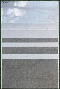 Gạch ốp tường giá rẻ 300x600 R3609