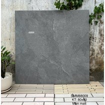 Gạch lát nền Việt Ý 80x80 mờ SMM88009