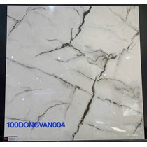 Gạch lát nền Đồng Tâm 100DONGVAN004