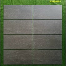 Gạch ốp tường Apodio 30x60 mờ A36SA401