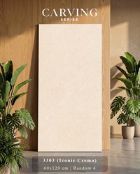 Gạch Ấn Độ 60x120 mờ 3303