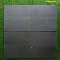 Gạch ốp tường Apodio 30x60 mờ A36NB402