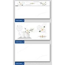 Gạch ốp tường Hà Thanh 30x60 HTP3602