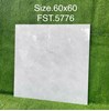 Gạch lát nền Tasa 60x60 bóng FST.5776