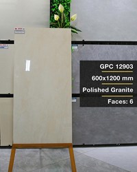 Gạch ốp lát Taicera 60x120 GPC 12903