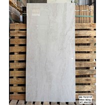 Gạch Việt Ý 60x120 bóng T61211P