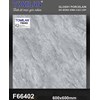 Gạch lát nền Tô Thành Phát 60x60 bóng F66402