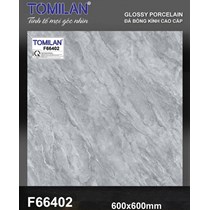 Gạch lát nền Tô Thành Phát 60x60 bóng F66402
