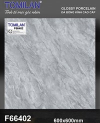 Gạch lát nền Tô Thành Phát 60x60 bóng F66402
