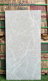 Gạch ốp lát Á Mỹ 60x120 CT2864