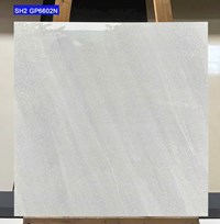 Gạch lát nền Viglacera 60x60 SH2-GP6602N