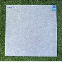 Gạch Viglacera 60x60 mờ xi măng AZ5-6601