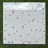Gạch Terrazzo bóng kính giá rẻ 60x60 P636