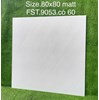 Gạch lát nền Tasa 80x80 mờ FST.9053