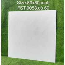Gạch lát nền Tasa 80x80 mờ FST.9053