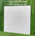 Gạch lát nền Tasa 80x80 mờ FST.9053