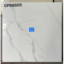 Gạch lát nền Taicera 80x80 GP88805