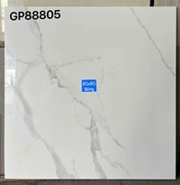 Gạch lát nền Taicera 80x80 GP88805