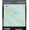 Gạch lát nền Tô Thành Phát 60x60 bóng F66406