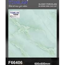 Gạch lát nền Tô Thành Phát 60x60 bóng F66406