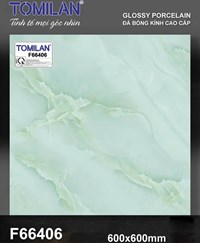 Gạch lát nền Tô Thành Phát 60x60 bóng F66406