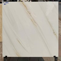 Đá bóng kính giá rẻ 60x60 FL6882