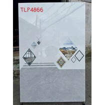 Gạch ốp tường Hà Thanh 40x80 TLP4866