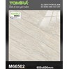 Gạch lát nền Tô Thành Phát 60x60 bóng M66502