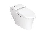 Bàn cầu American Standard WP-2012/WF-7212
