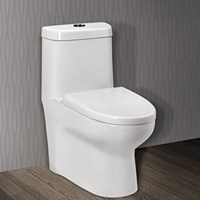 Bồn cầu 1 khối Ceravi C502 (Tặng lavabo, chân chậu)