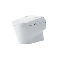 Bồn cầu 1 khối TOTO CW992VA/TCF992WA
