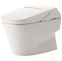 Bồn cầu 1 khối TOTO CW993VA/TCF993WA