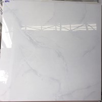 Đá bóng kính toàn phần giá rẻ 60x60 6601