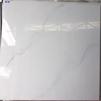 Đá bóng kính toàn phần giá rẻ 60x60 6610