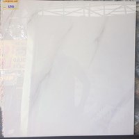 Đá bóng kính toàn phần giá rẻ 60x60 6901