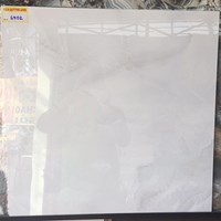 Đá bóng kính toàn phần giá rẻ 60x60 6902
