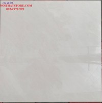 Đá bóng kính toàn phần giá rẻ 60x60 CN66002