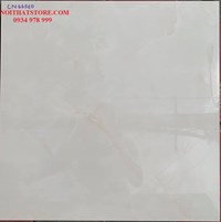 Đá bóng kính toàn phần giá rẻ 60x60 CN66010