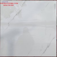 Đá bóng kính toàn phần giá rẻ 60x60 CN66012