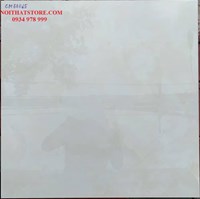 Đá bóng kính toàn phần giá rẻ 60x60 CN66015
