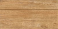 Gạch Catalan 30x60 3674