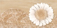 Gạch Catalan 30x60 3675