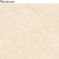 Gạch Catalan 60x60 6601